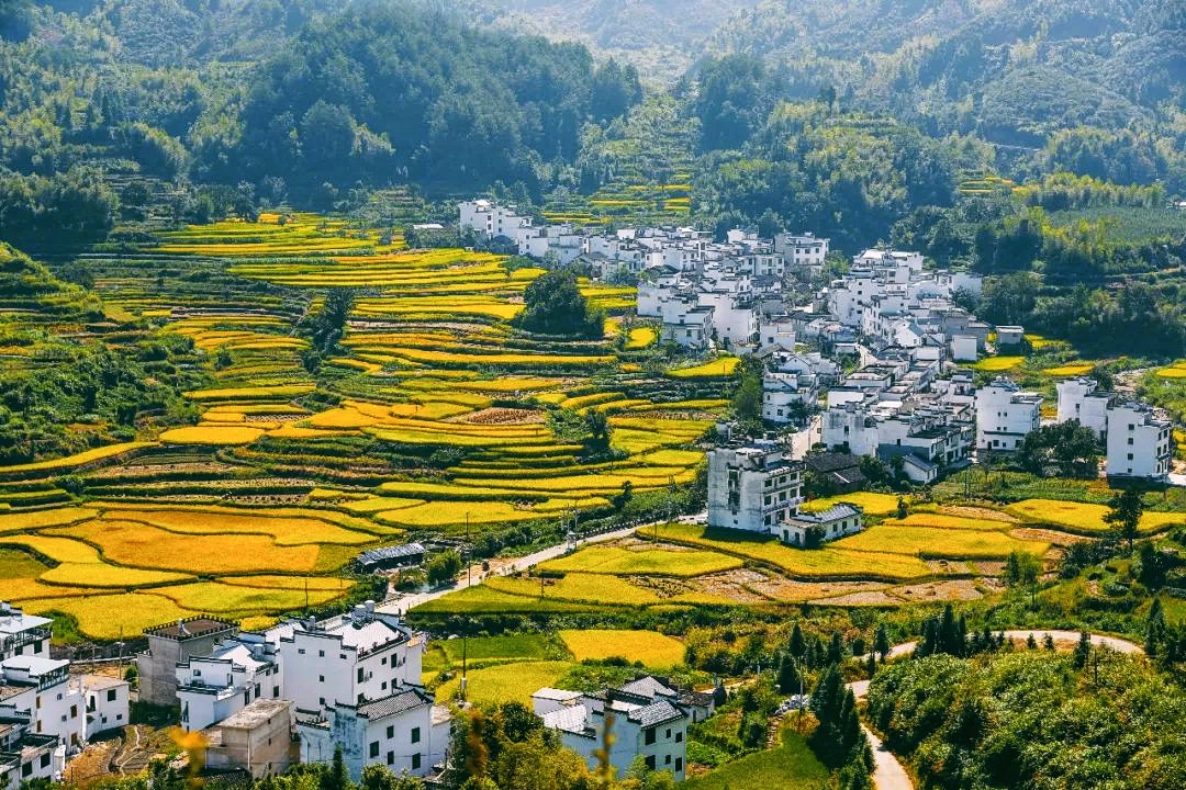乡村旅游：田园中的诗意栖居
