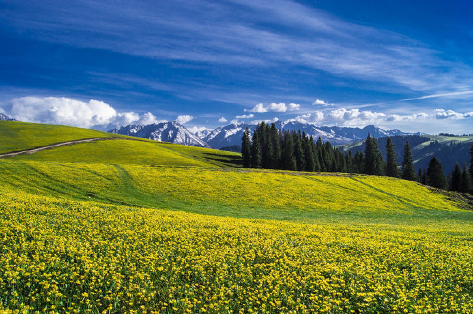 绝美中国# 新疆塔里木:吉尔格郎