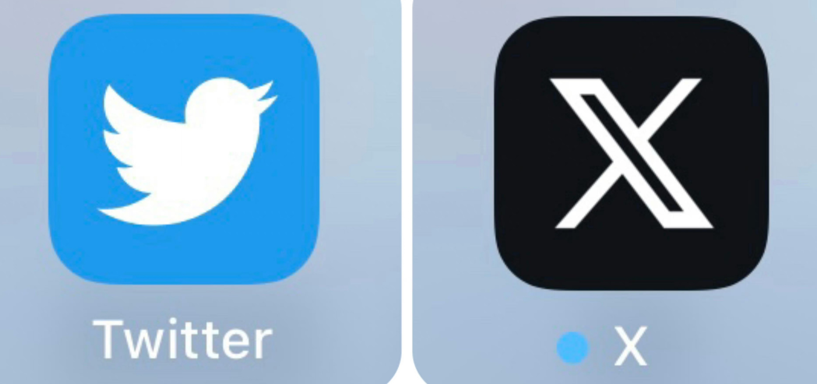 【推特小蓝鸟变成大黑叉的设计费,肯定比方米变成圆米要高吧?