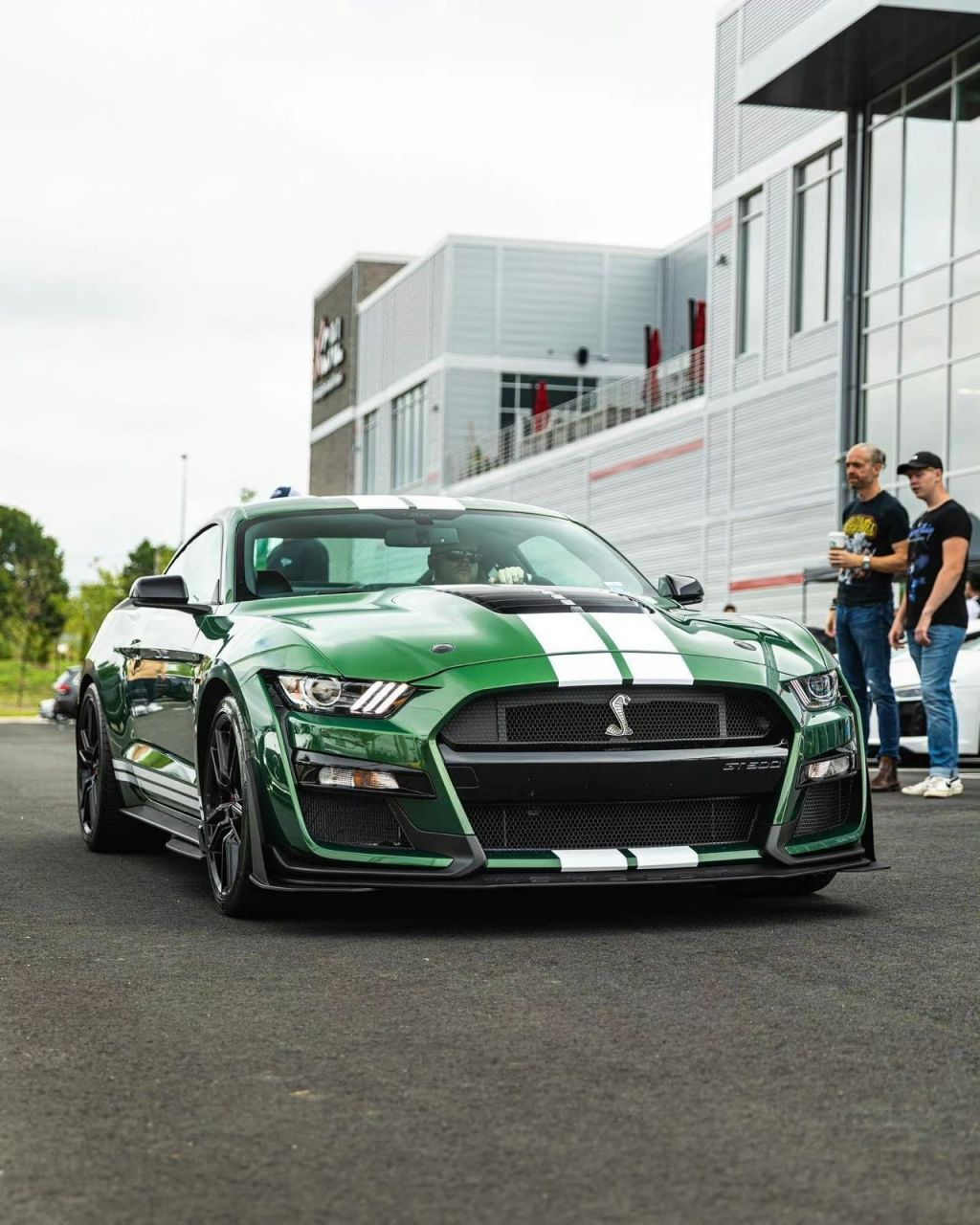 纯正美式肌肉车,福特谢尔比gt500蛇王