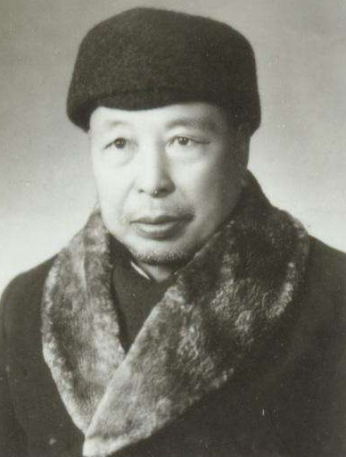 太极拳的实战能力如何?纵观田兆麟生平战绩,便知晓