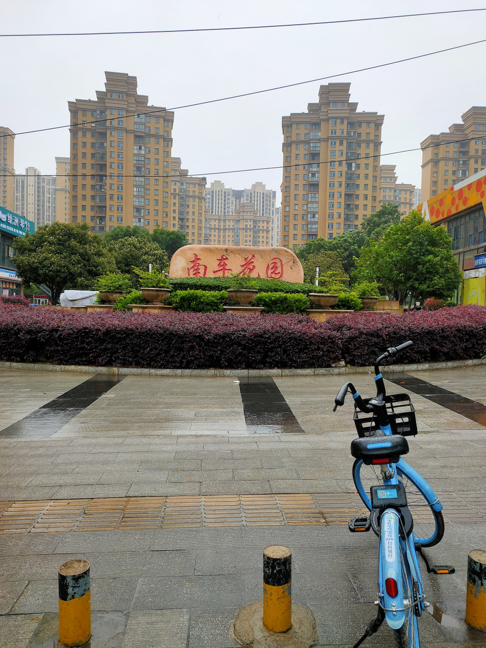 武汉江夏大花岭约学生图片