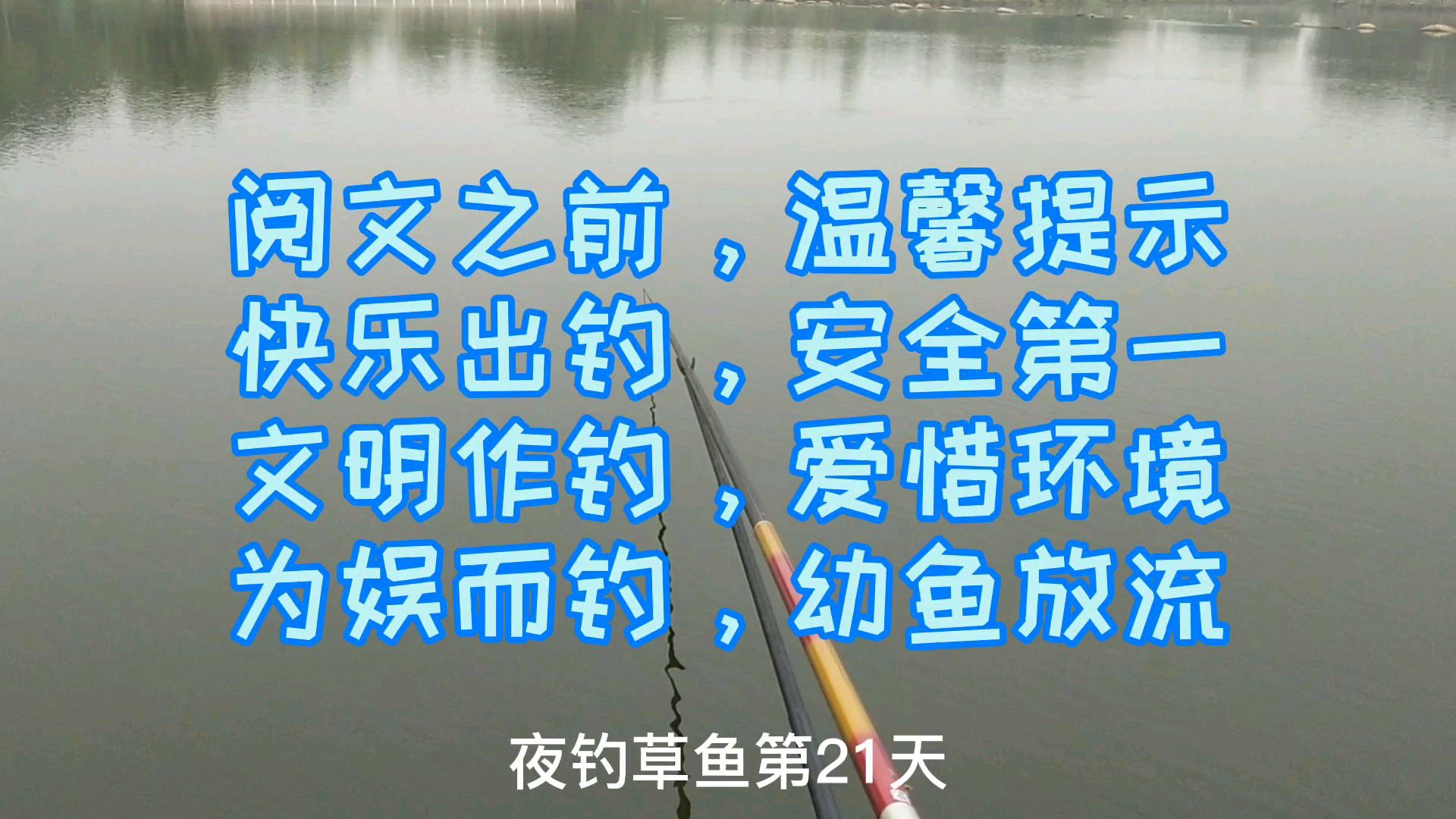 夜钓守草鱼第21天一夜没口!收竿前欣赏一下别人钓的“巨”型花鲢