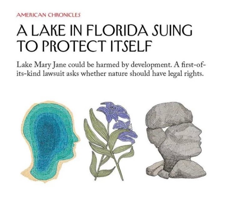 插画师 marion fayolle 作品欣赏