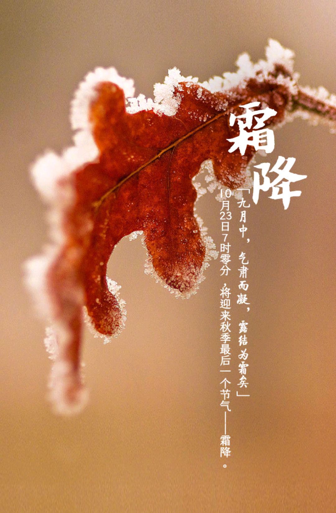 10月23日霜降节气祝福语,霜降快乐!