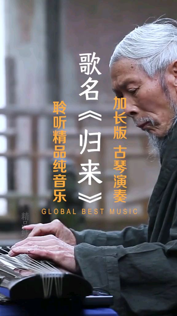 杨青古琴曲归来图片