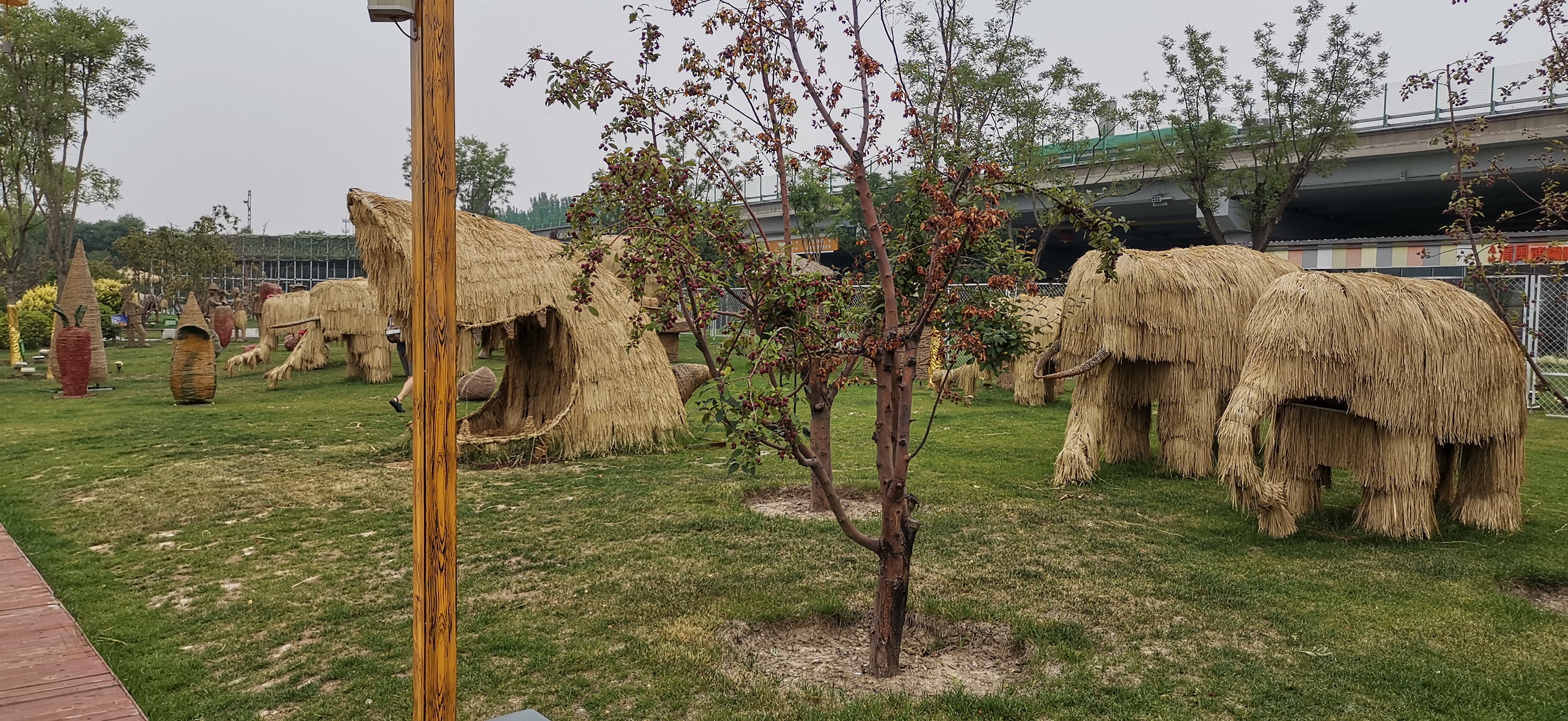 太原晋祠,稻田公园旅游观光