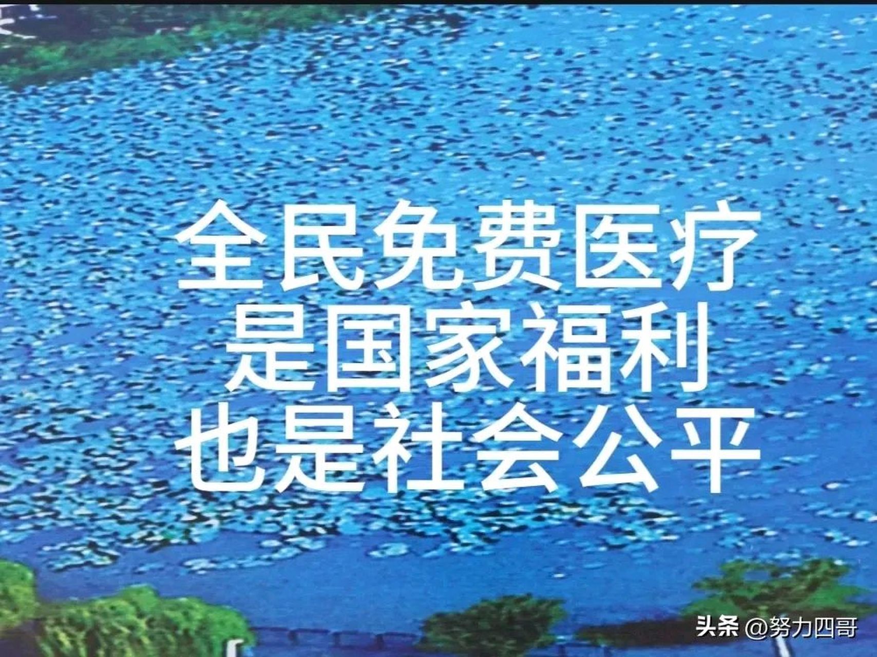关于全民免费医疗.我们看看数据.数据会告诉你答案.