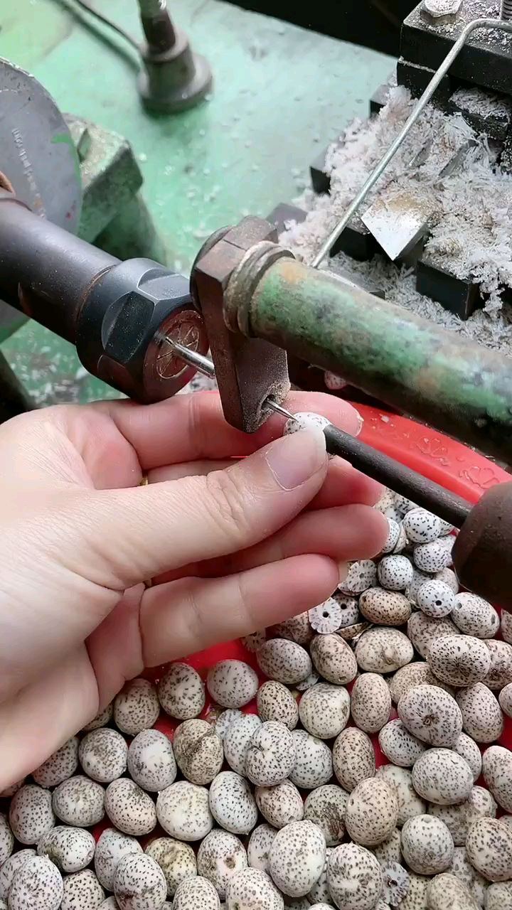 星月菩提干磨顺白加工
