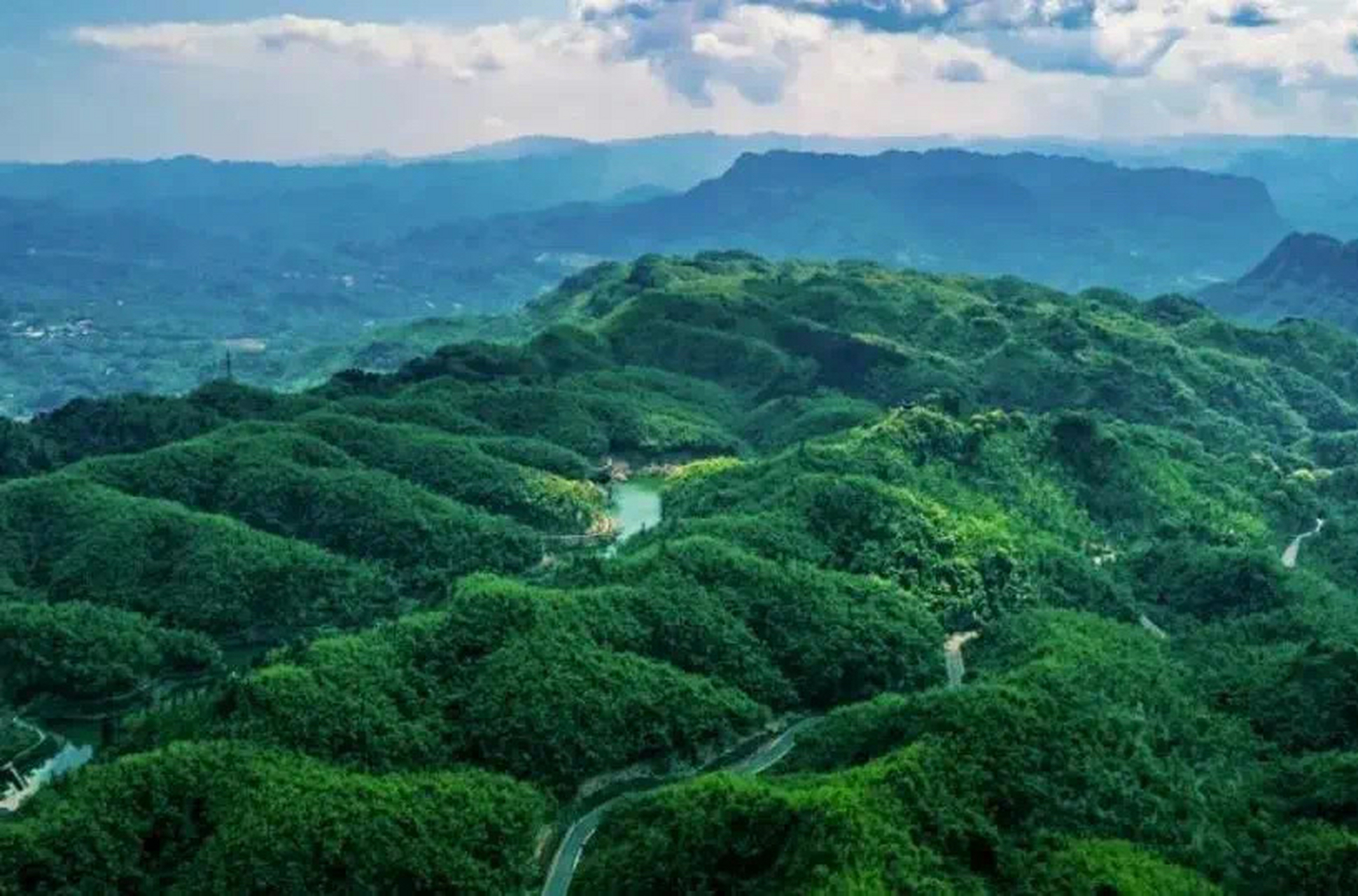 沐川竹海图片