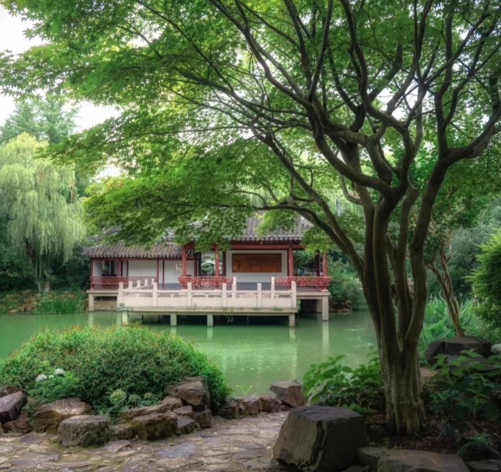 上海莘庄公园大自然奇观