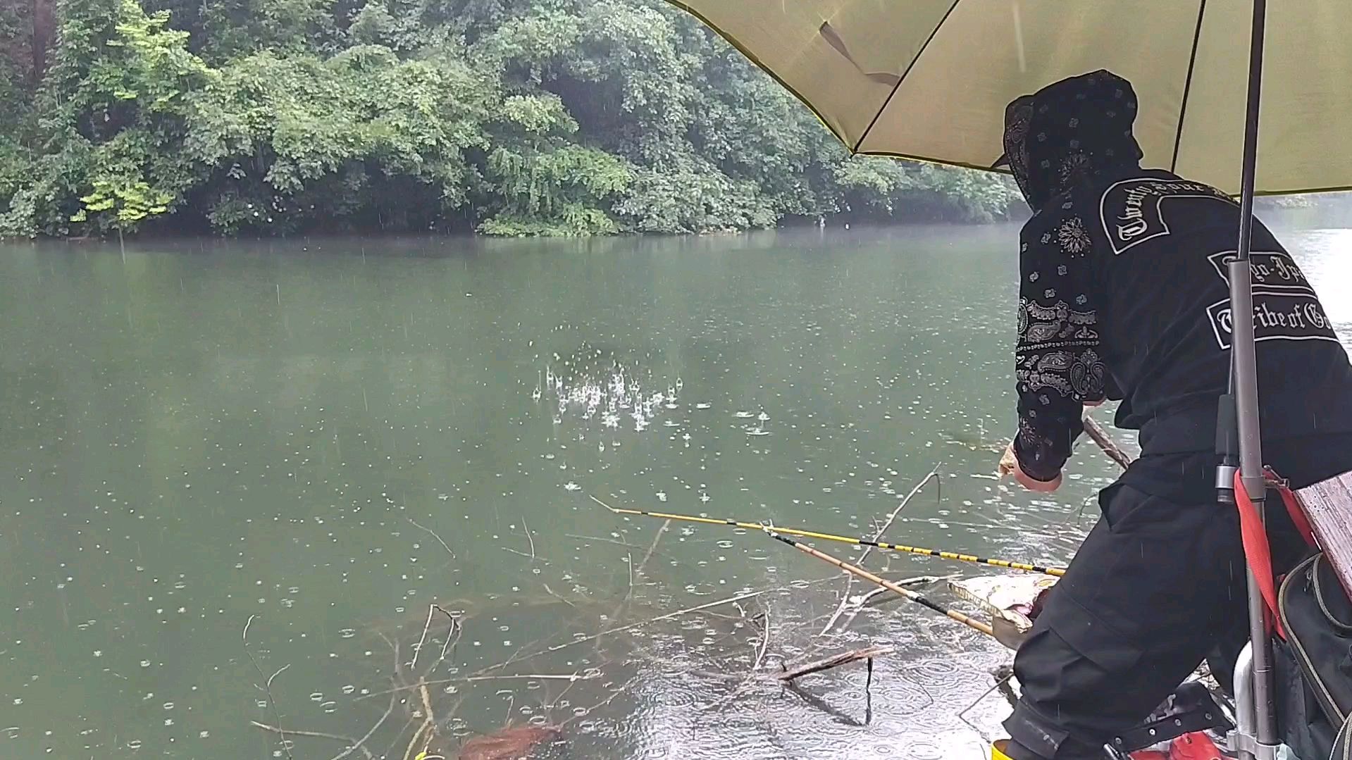 野钓:下雨天好钓鱼?烂树堆前打个窝,鱼获让我很尴尬
