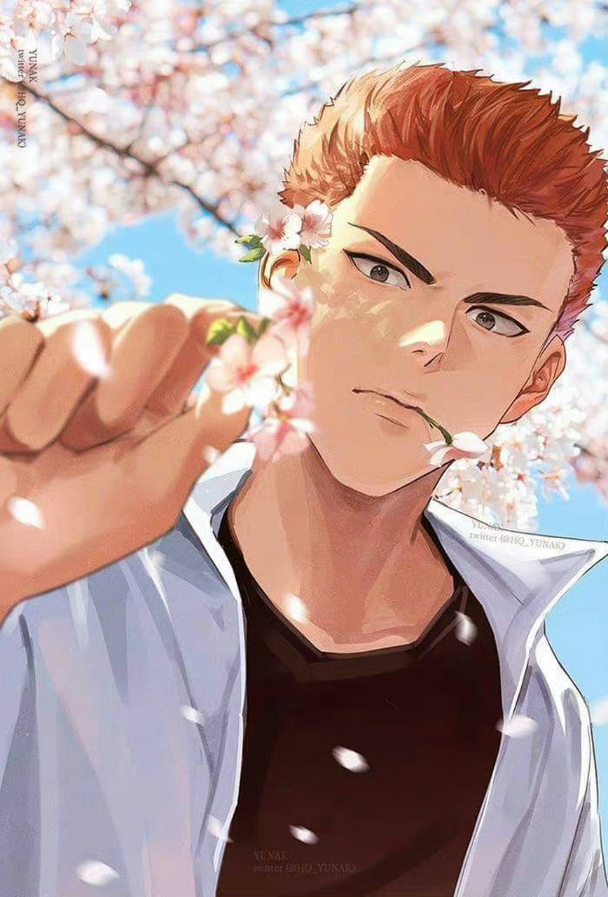 经典动漫# 灌篮高手 樱木花道&流川枫, 樱花和帅哥好配!