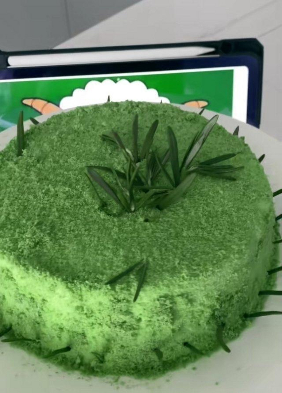 真的会有人和小懒一样喜欢吃青草蛋糕吗?#趣图搞笑