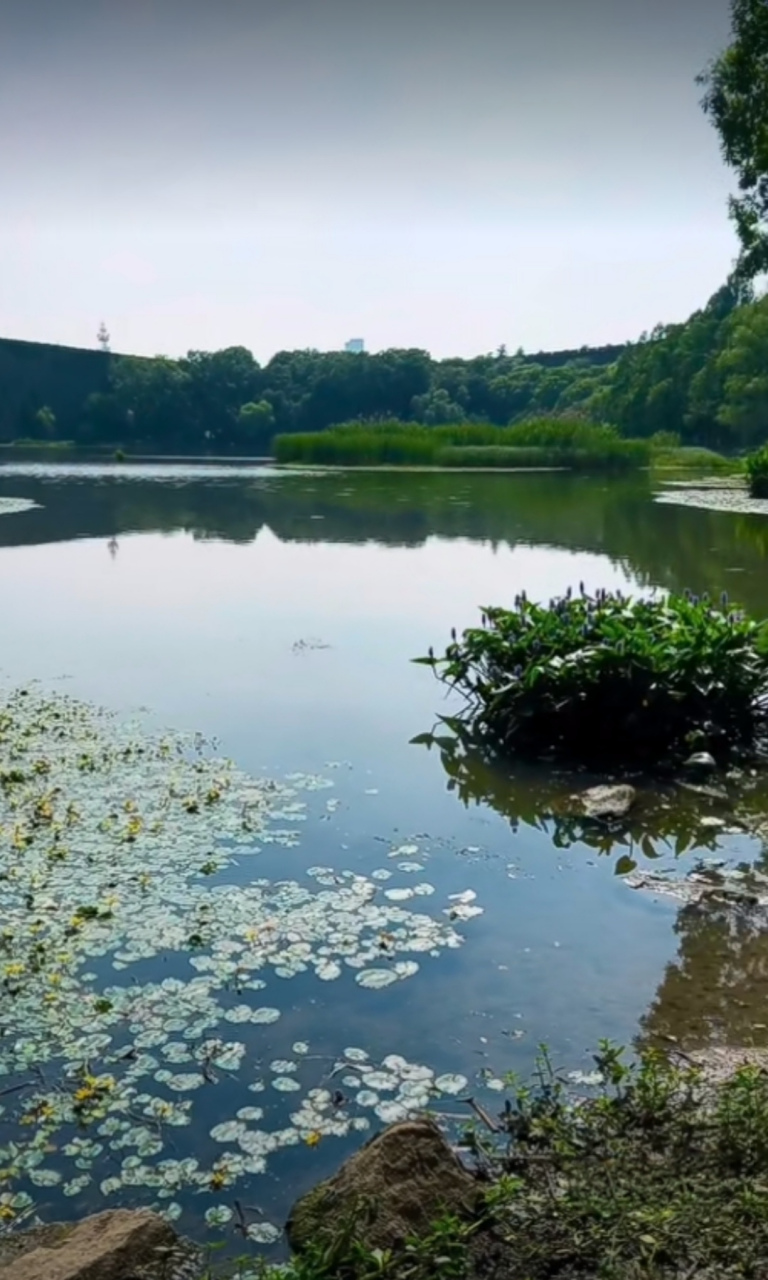 南京市·琵琶湖公园