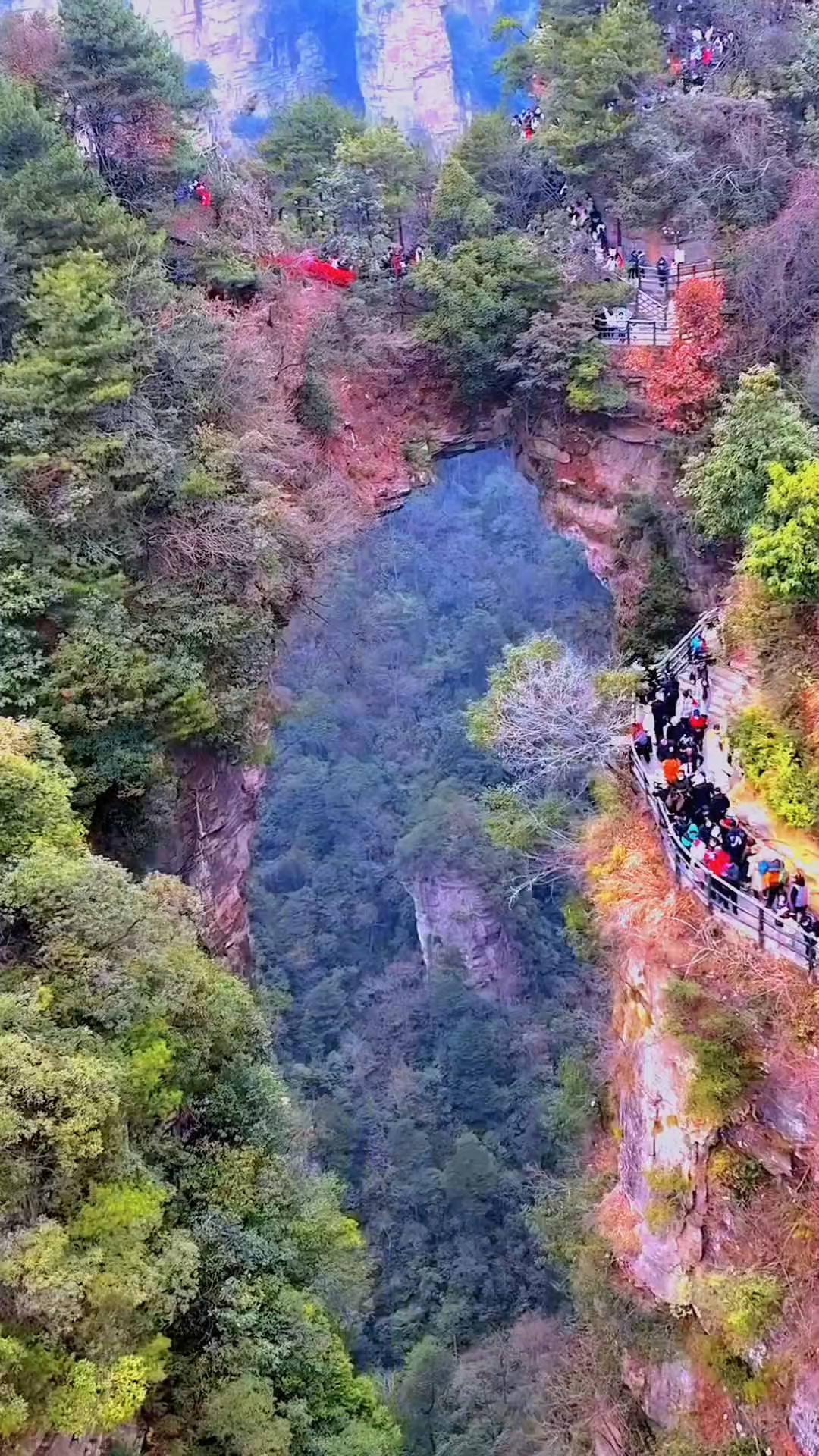 张家界天生桥·是大自然的一个奇迹,"天下第一桥"气势恢宏#惊险刺激