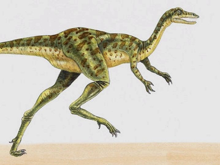 极龙北极冰雪中的霸主