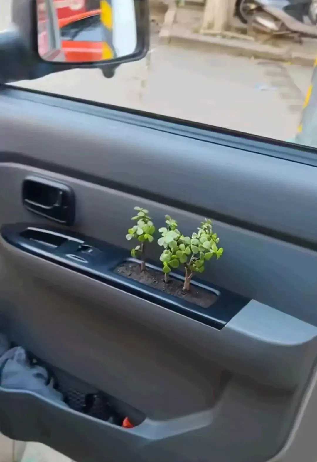原来车上这个把手是这么用的涨知识了