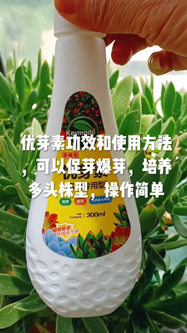 自制优芽素图片