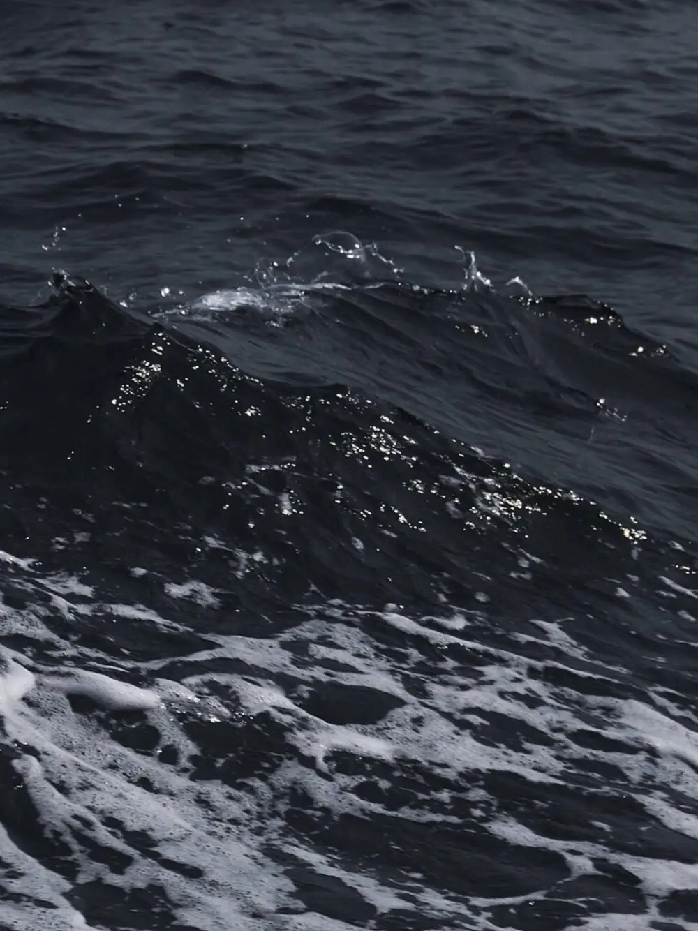 为何黑海的水是黑色的?捧起是清澈的?这个炸弹放哪个弹药库好?