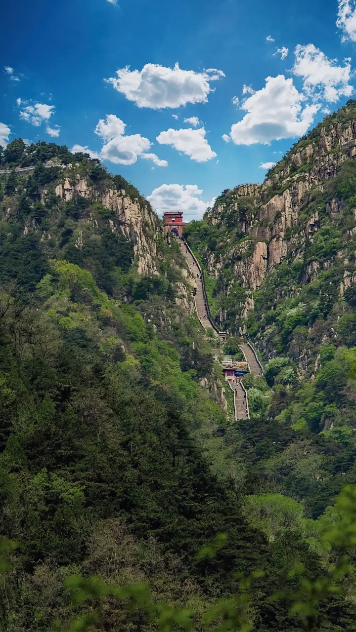 泰山立体全景图图片