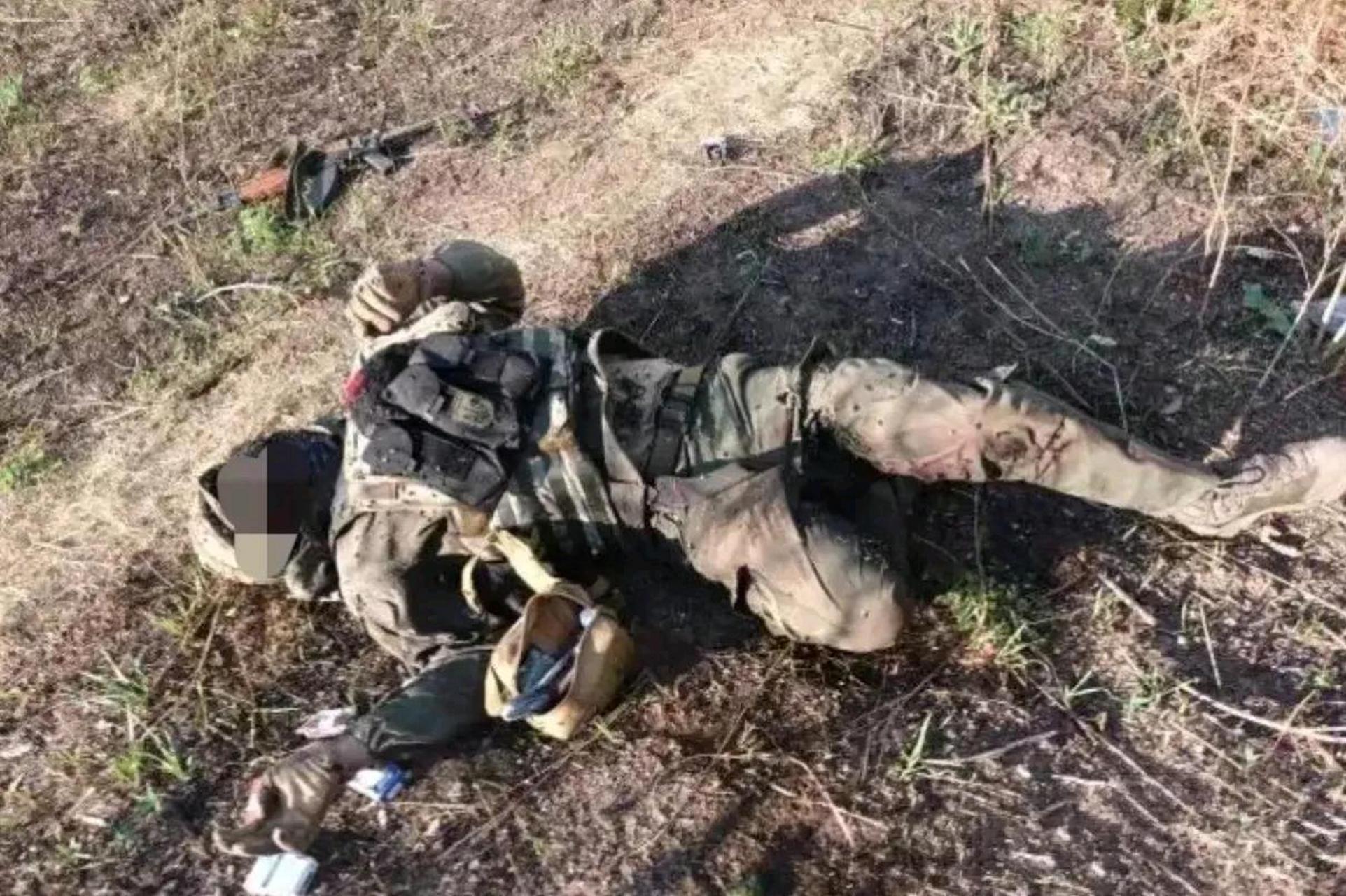 俄乌战场已经到了没人收尸的阶段了?