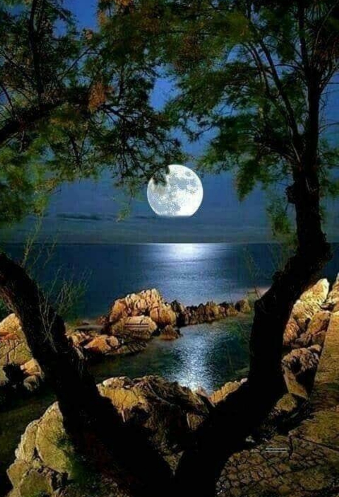 明月情思(小诗)