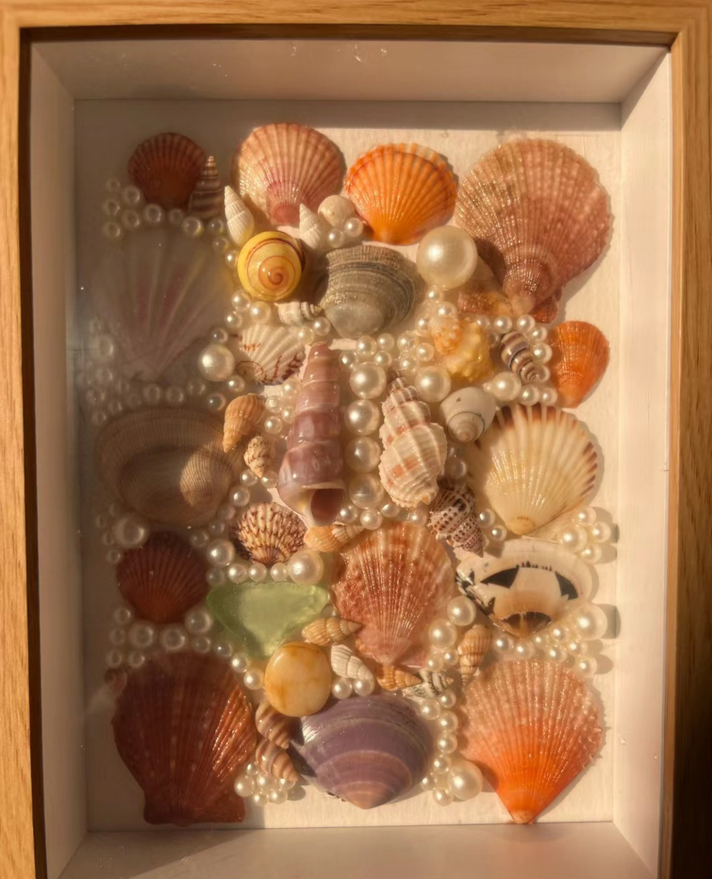 花蛤壳做简易手工艺品图片