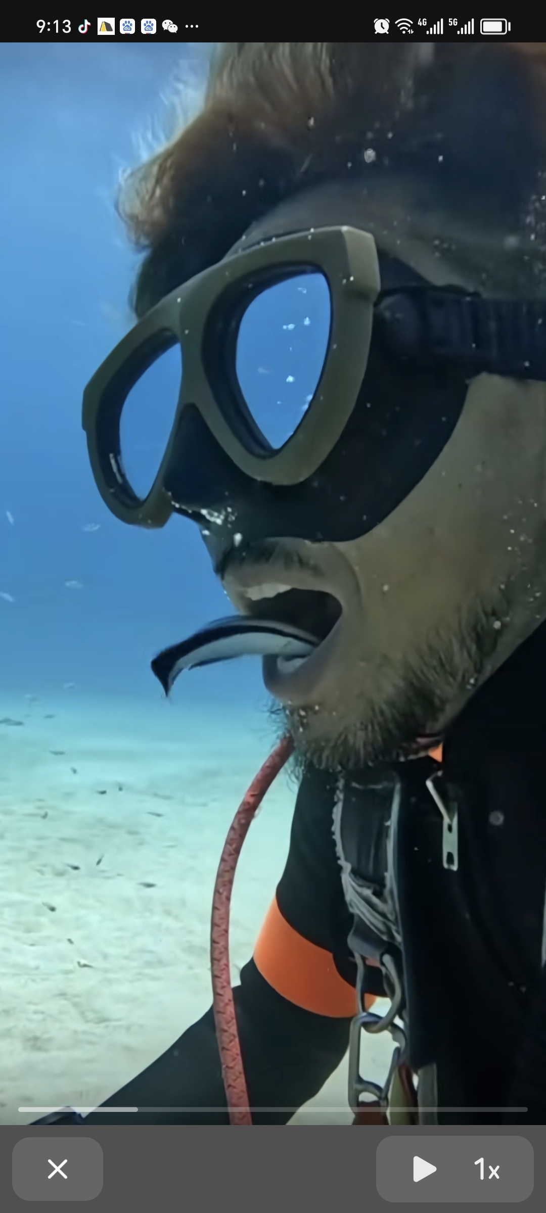 鱼:这是个不错的地方,就是有点味道,我先清理清理