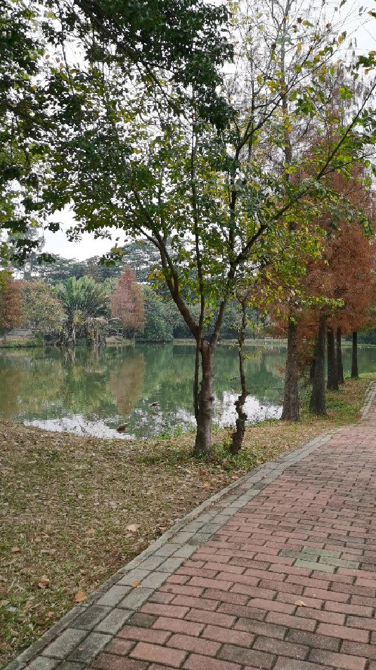 东莞道滘北岛公园