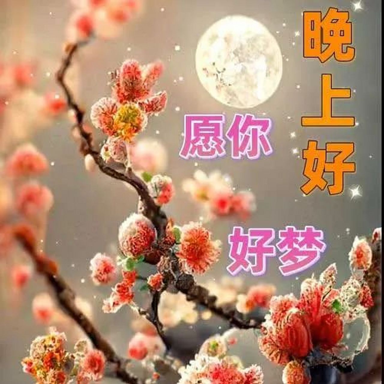 晚安,愿你的心灵得到宁静,梦想得以实现! 3.