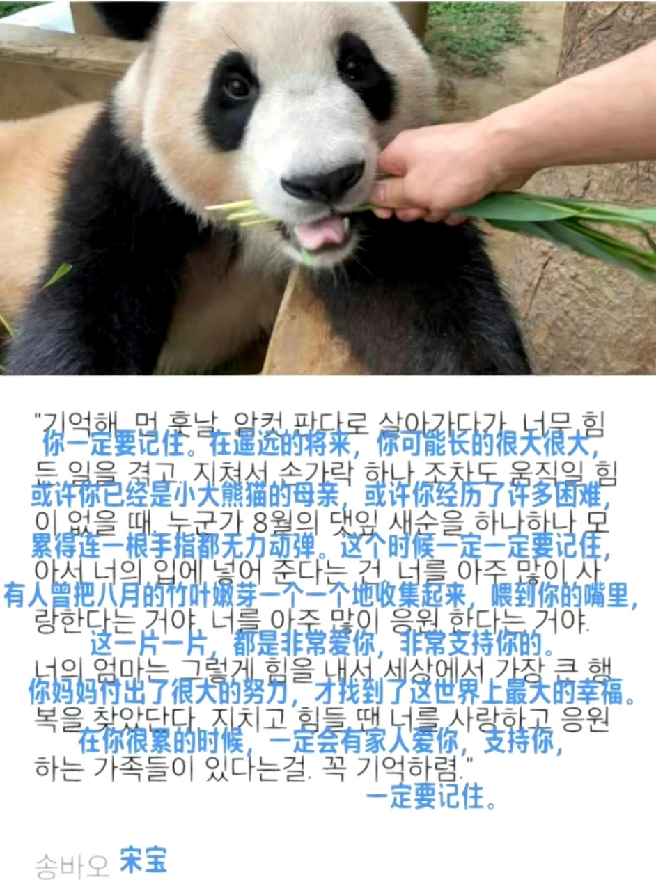 大熊猫# 宋宝写给福宝的信,对福宝来说,满满都是家人的爱.