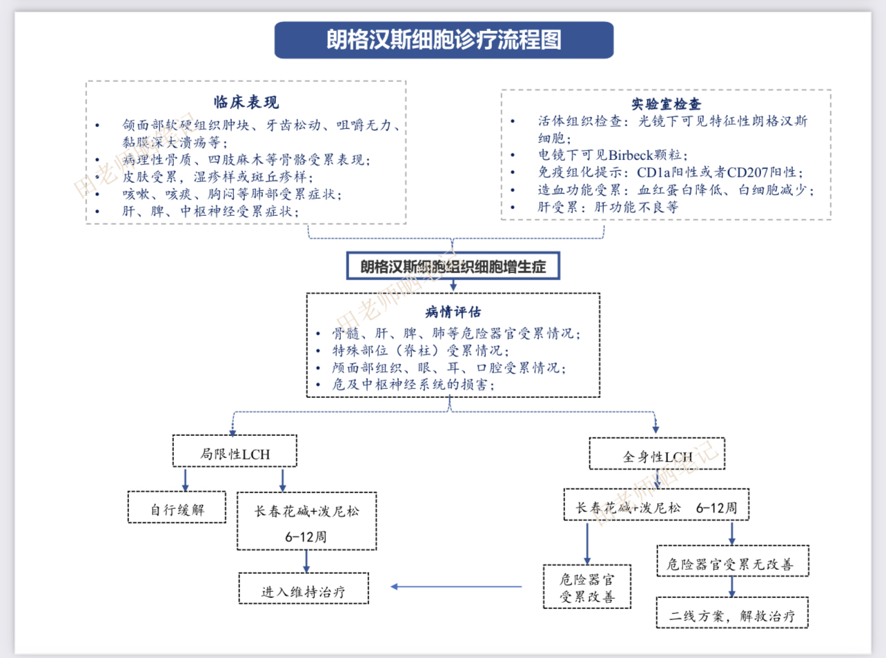 朗格汉斯细胞作用图片