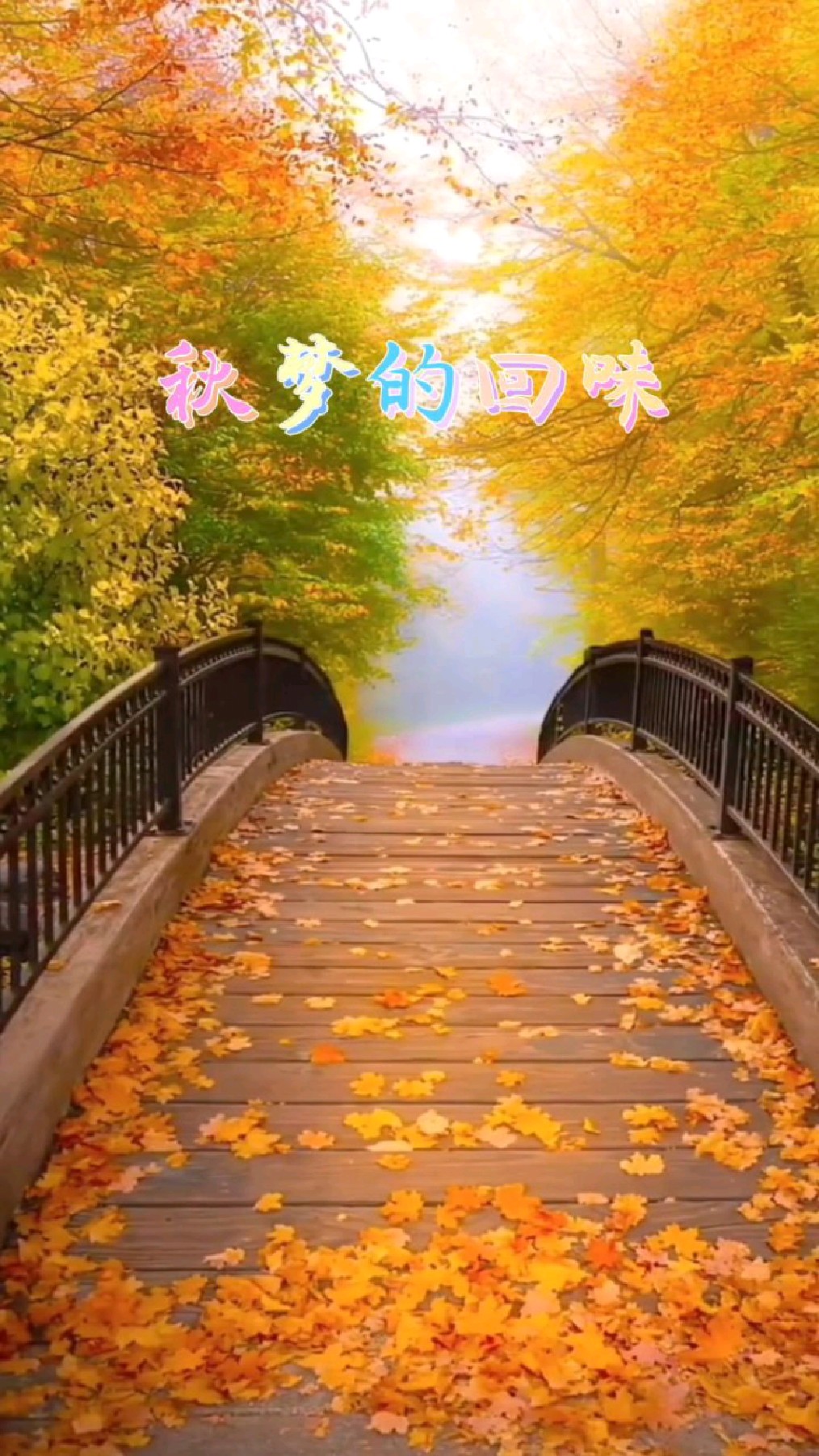秋梦是一种神秘而美丽的梦境,秋景的唯美常常给人们的心灵带来无限的