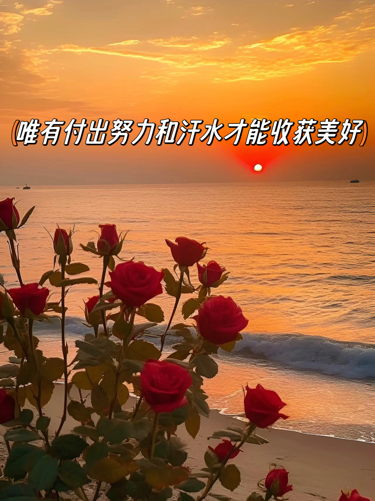 努力就会有收获的图片唯美努力就会有收获有毅力的图片唯美努力后收获