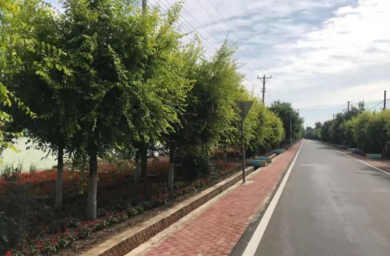 不忘初心 务实为民——大虎山街道五台子村党支部书记 司洪志