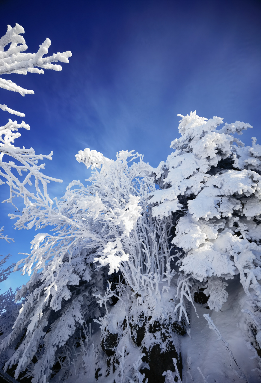 冬季在场证明# 吉林蛟河西土山冬日美景,东北的冬天,有时候美的惊艳