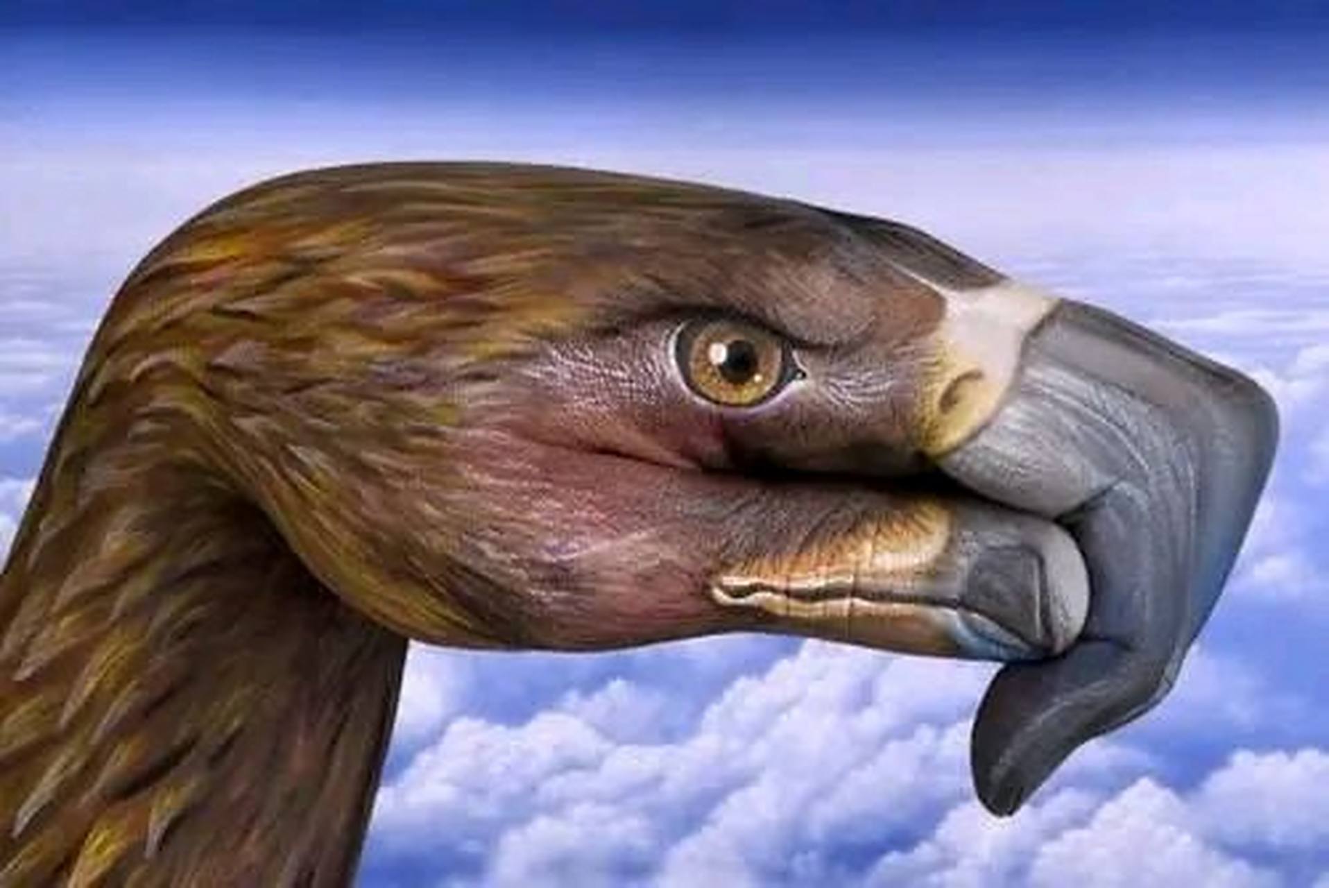 心理测试:第一眼看到的是什么,测你为人处世中有心机吗?