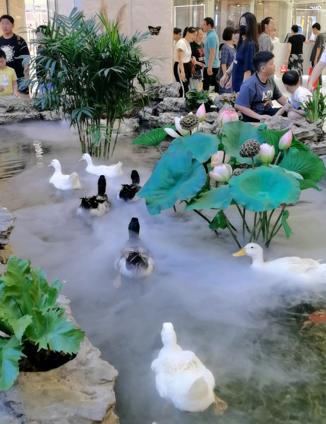 西安赛格室内瀑布,最顶端荷塘里有鸭子游动,参观的人真多