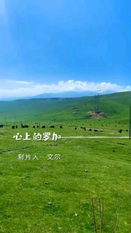 情感歌曲:《心上的罗加》歌声悠扬动听,令人神往-度小视