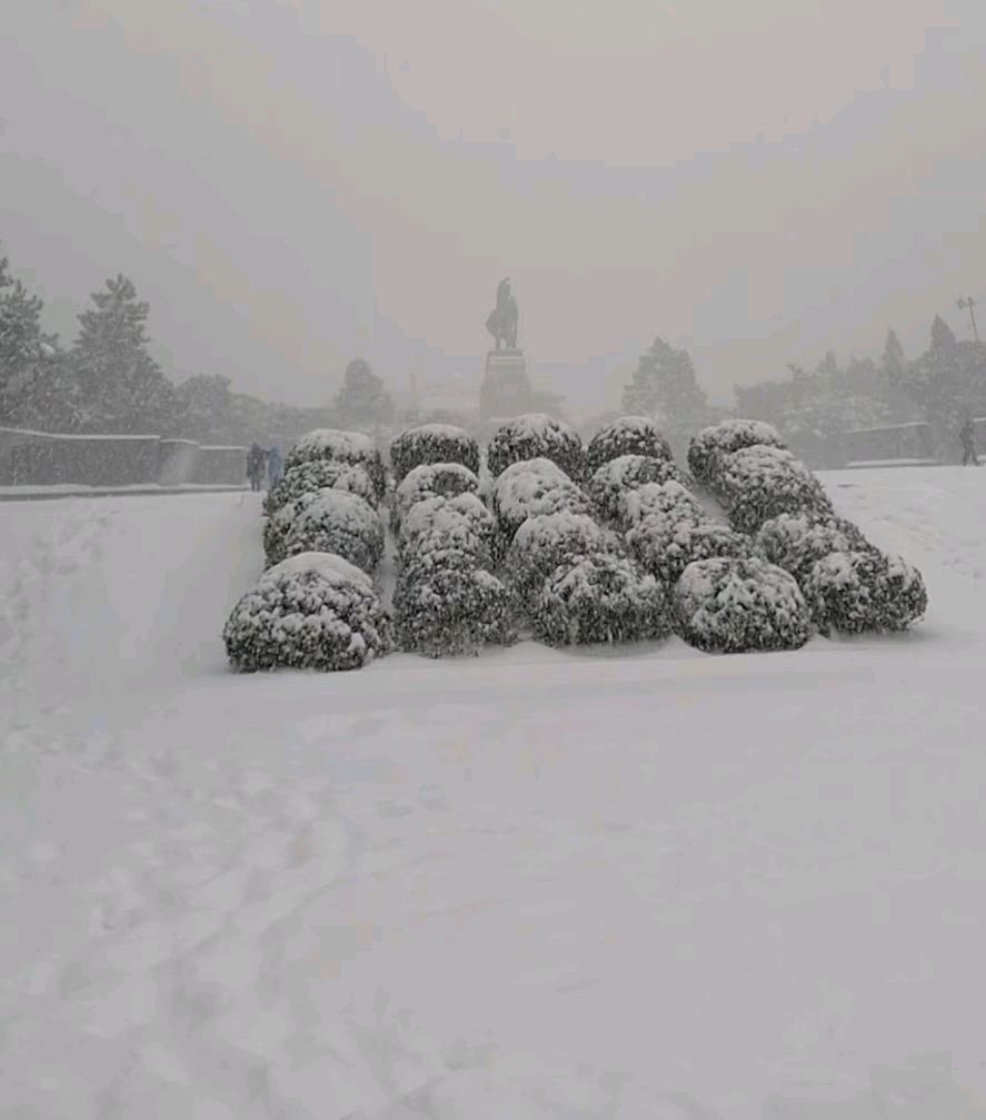 锦州雪景图片