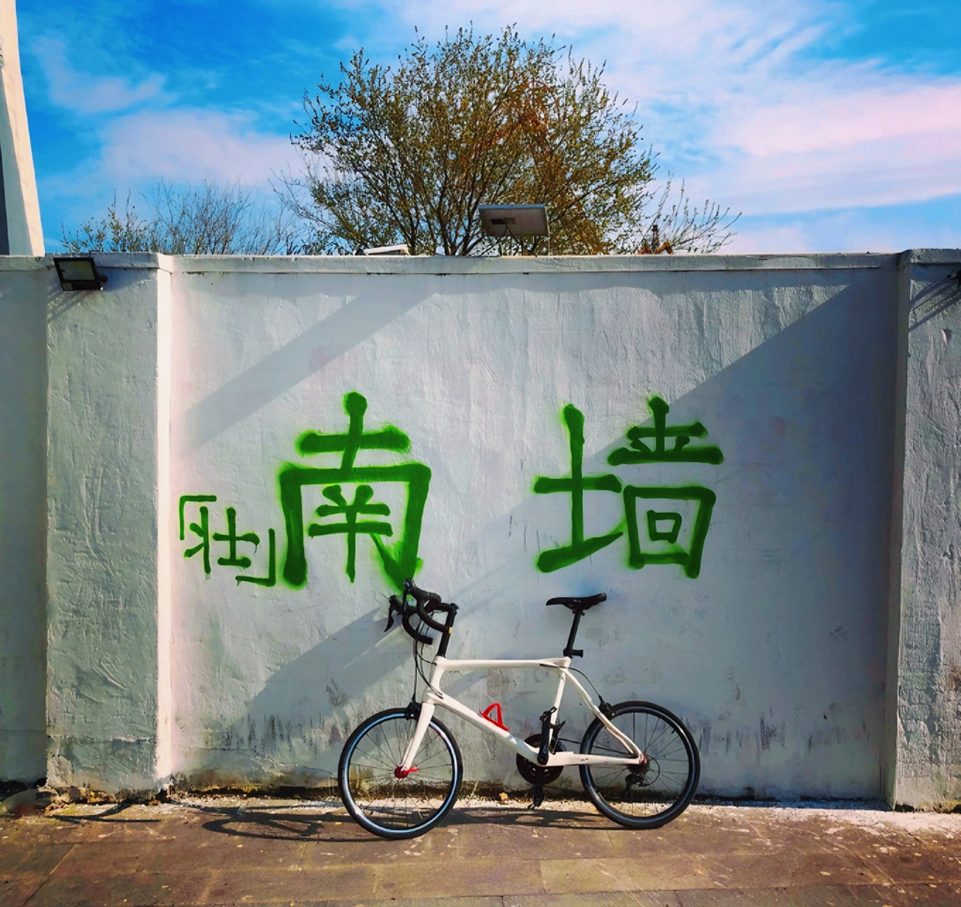 撞了100次南墙后,我才明白的道理.  1,无性婚姻,不会长久.