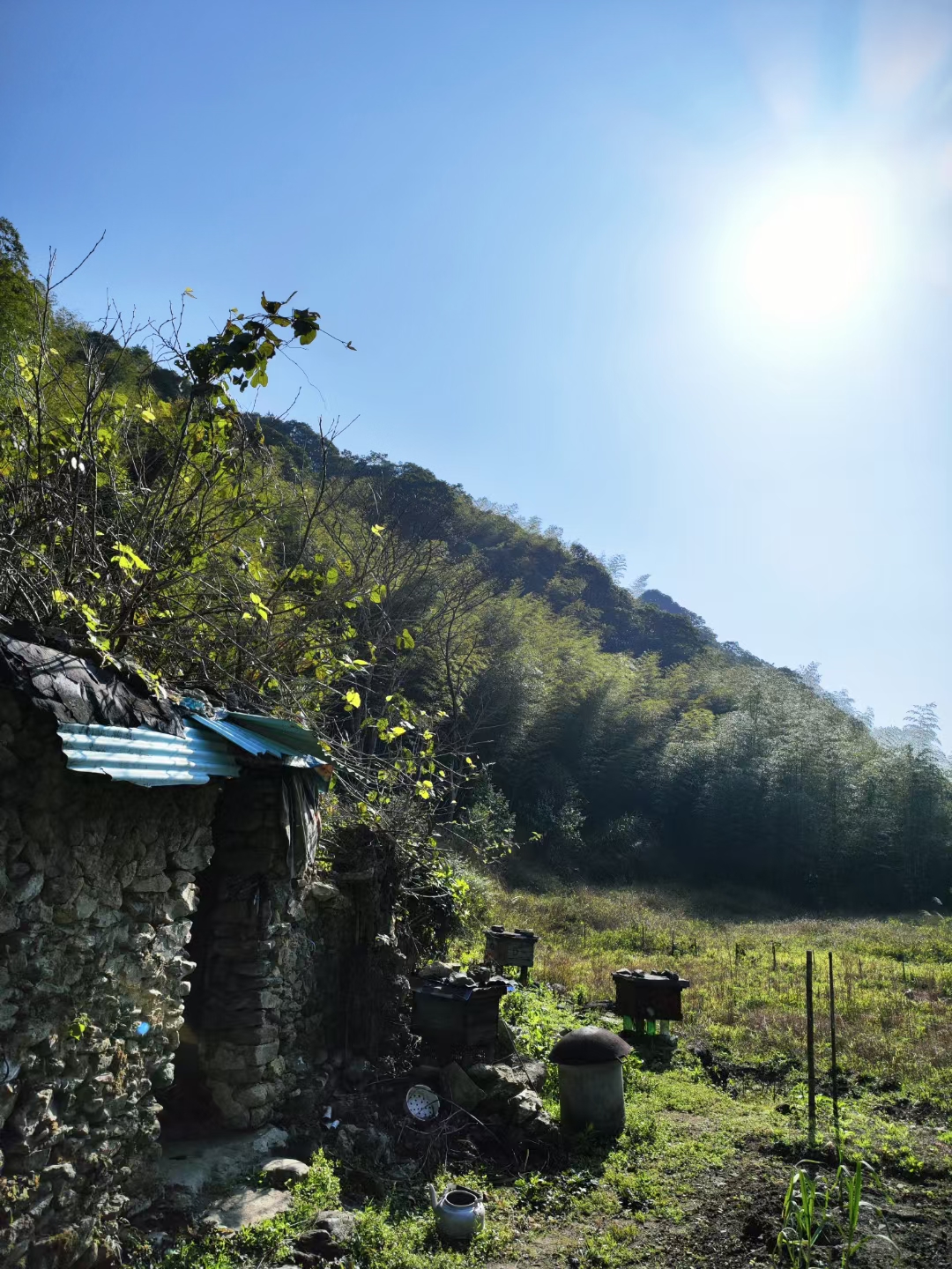 揭西大北山森林公园图片