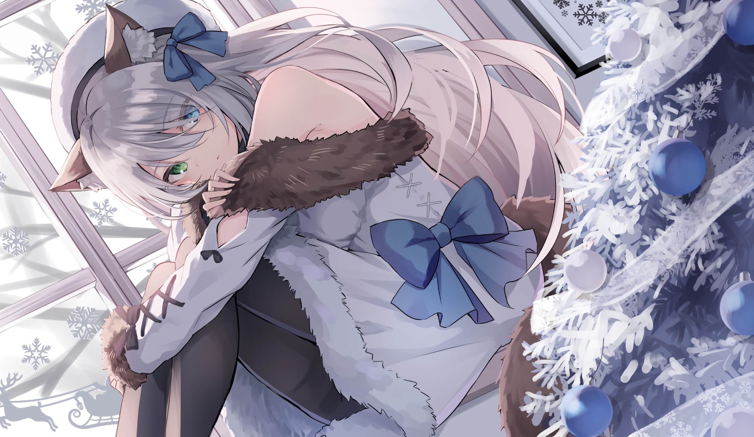 多项式乘法与快速傅里叶变换(FFT)