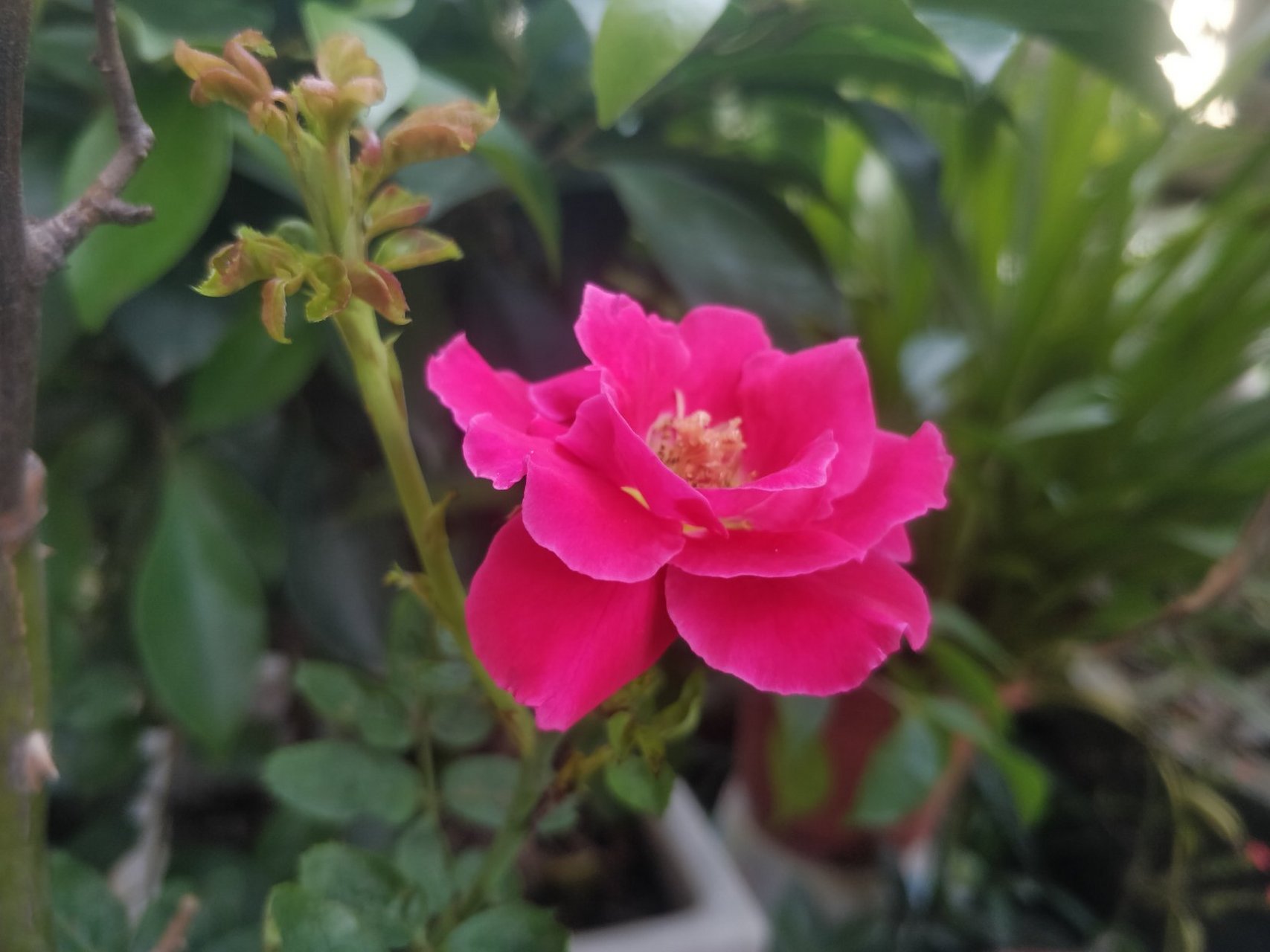 歌曲:我变了,我没变 词曲:小柯 "一天宛如一年 一年宛如一天 任时光