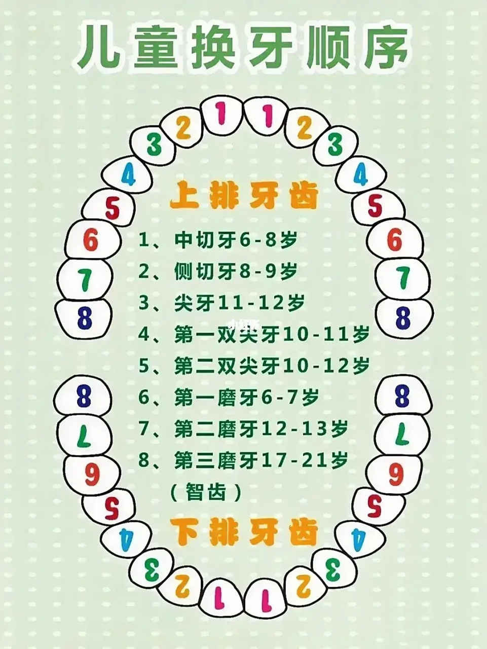 你们家孩子多大开始换牙?