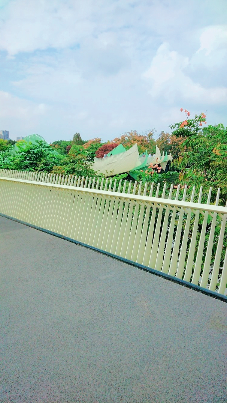 嘉兴放鹤洲生态公园犹如仙境