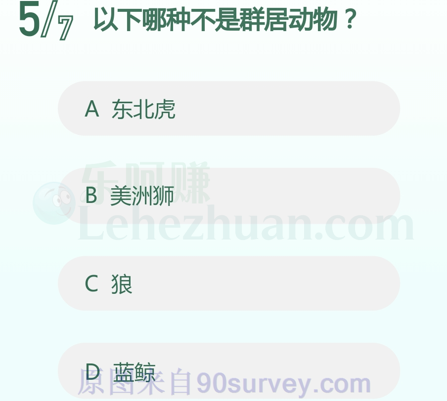东北虎不是群居动物 东北虎不是群居动物