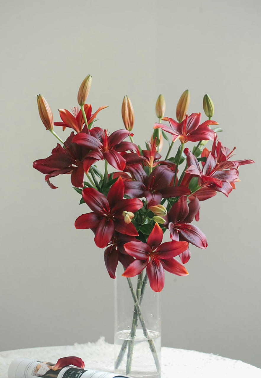 黑宝石百合08|纯正的酒红色,自带高级的油亮质感,与众不同也没有