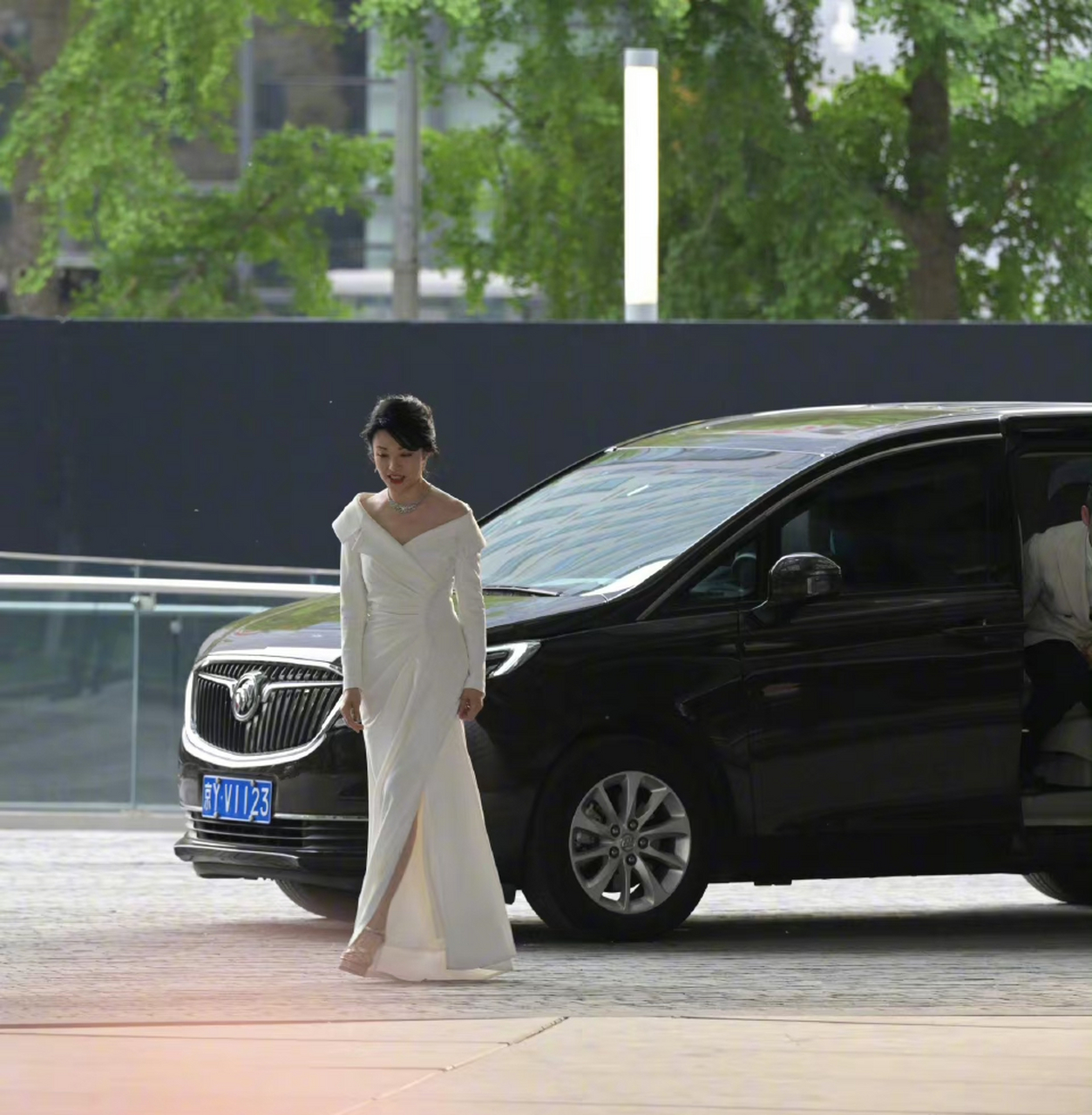 周涛,传说中标准的大牡丹脸! 大国之风,气场气质都绝了